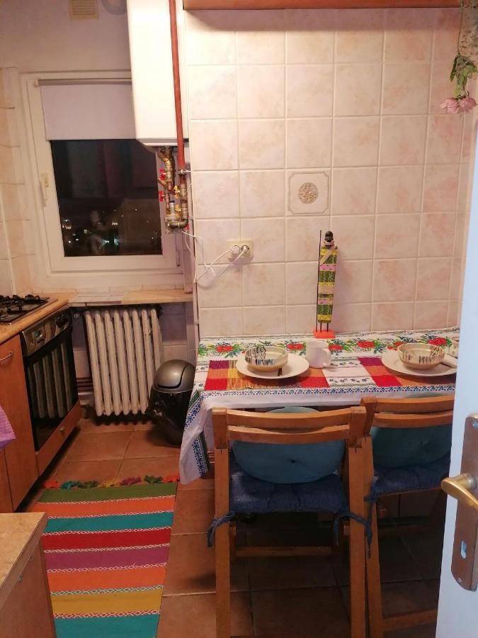 River View, In City Center Apartment Bucarest Esterno foto