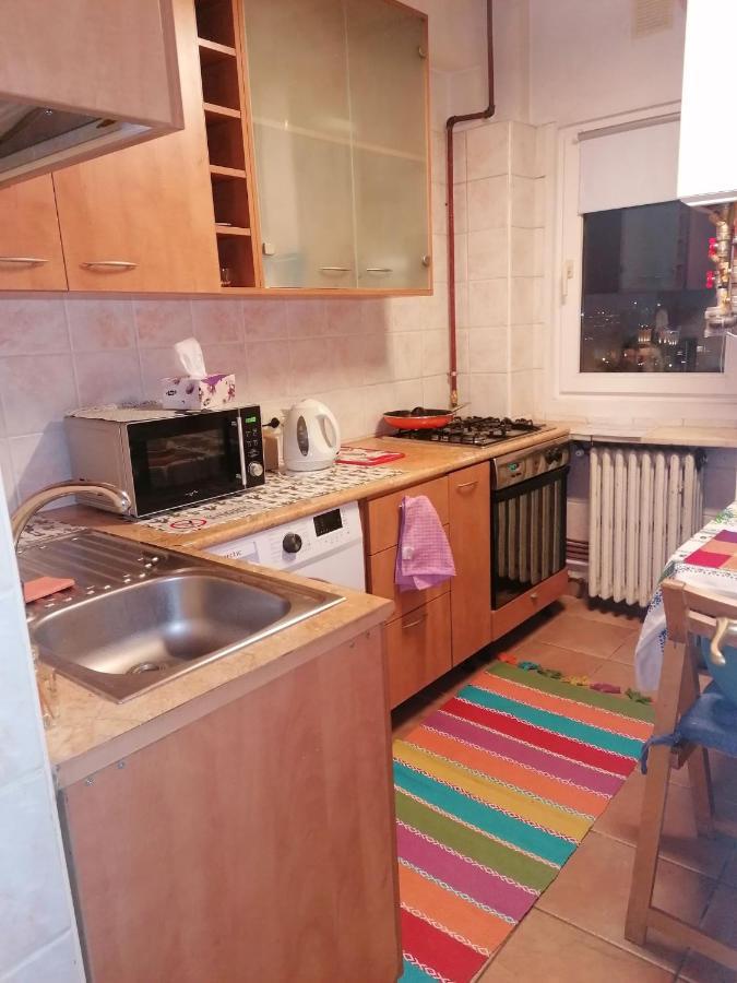 River View, In City Center Apartment Bucarest Esterno foto